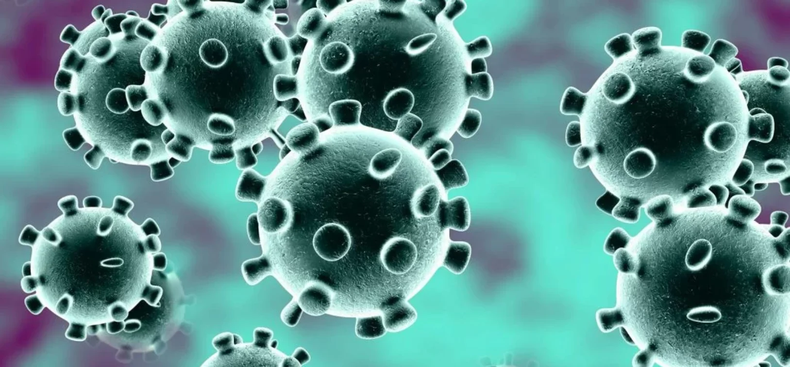 1800x1200_coronavirus_1-1030x687 Blog inner thumb : Knighton Dental